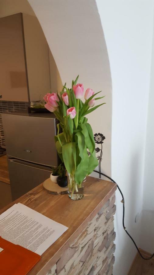 Apartman Tara Zagreb Dış mekan fotoğraf